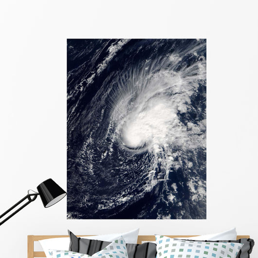 Tropical Storm Zeta Wall Decal