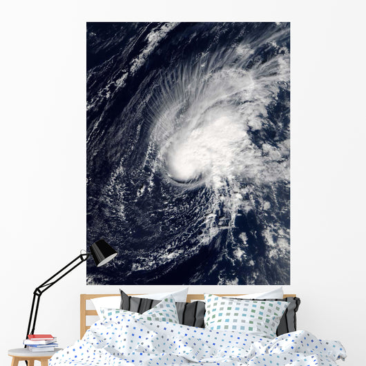Tropical Storm Zeta Wall Decal