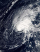 Tropical Storm Zeta Wall Decal