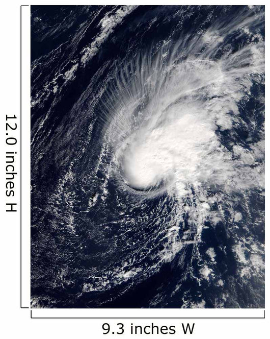 Tropical Storm Zeta Wall Decal