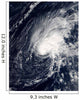 Tropical Storm Zeta Wall Decal