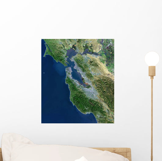 Satellite San Francisco California Wall Decal Design 2