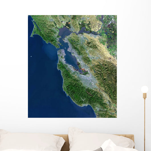 Satellite San Francisco California Wall Decal Design 2
