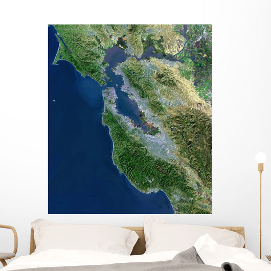 Satellite San Francisco California Wall Decal Design 2