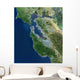 Satellite San Francisco California Wall Decal Design 2