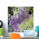 Satellite Sacramento Metropolitan Area Wall Decal