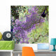 Satellite Sacramento Metropolitan Area Wall Decal