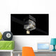 Artist's Concept Gamma-ray Large Wall Decal Design 3