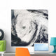 Hurricane Florence Wall Decal