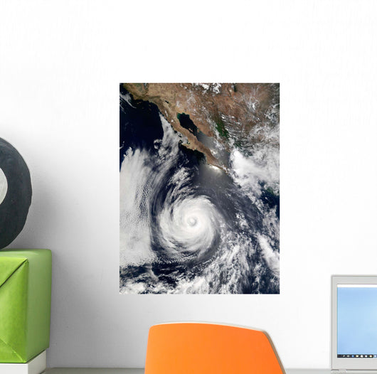 Hurricane Douglas Wall Decal