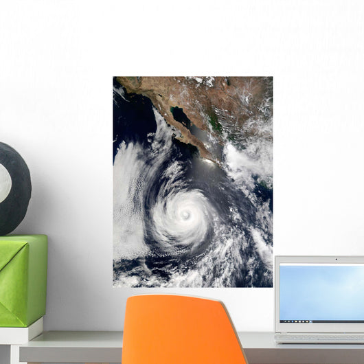 Hurricane Douglas Wall Decal