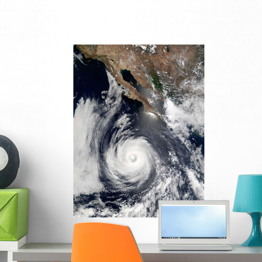 Hurricane Douglas Wall Decal