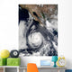 Hurricane Douglas Wall Decal