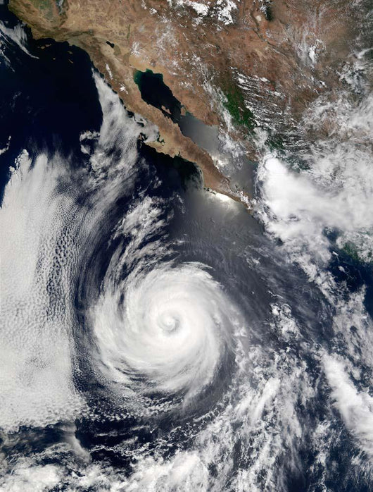 Hurricane Douglas Wall Decal