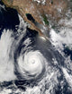 Hurricane Douglas Wall Decal