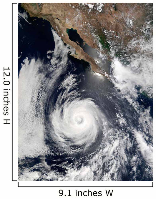 Hurricane Douglas Wall Decal