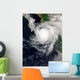 Hurricane Ignacio Wall Decal