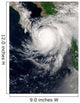 Hurricane Ignacio Wall Decal