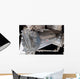 Japanese Pressurized Module Japanese Wall Decal