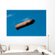 External Fuel Tank Backdropped Wall Decal