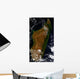 Madagascar Wall Decal