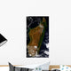 Madagascar Wall Decal