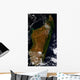 Madagascar Wall Decal
