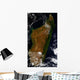 Madagascar Wall Decal