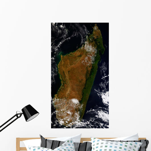 Madagascar Wall Decal