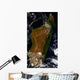 Madagascar Wall Decal
