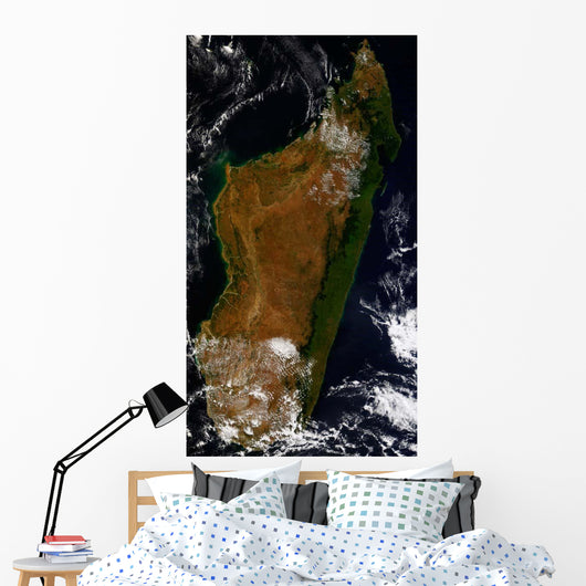 Madagascar Wall Decal