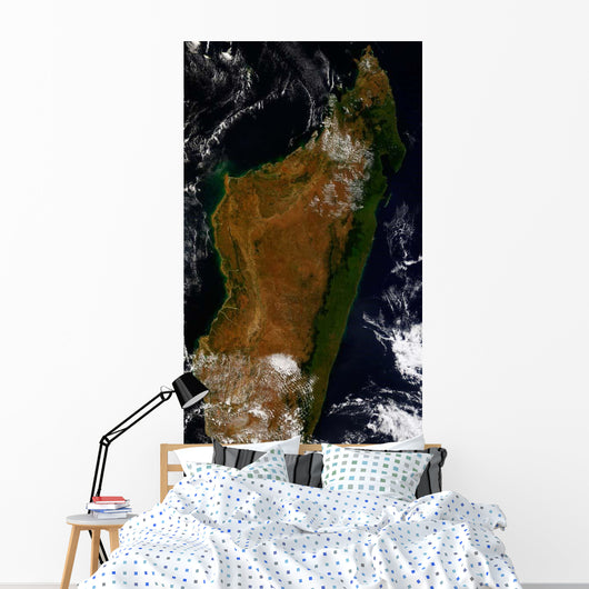 Madagascar Wall Decal