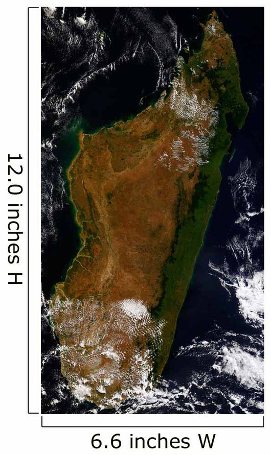 Madagascar Wall Decal