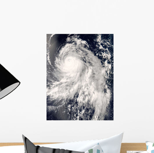 Typhoon Nakri off Japan Wall Decal