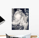 Typhoon Nakri off Japan Wall Decal