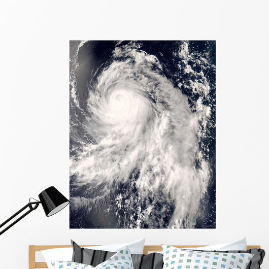 Typhoon Nakri off Japan Wall Decal