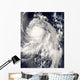 Typhoon Nakri off Japan Wall Decal