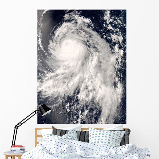 Typhoon Nakri off Japan Wall Decal