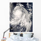 Typhoon Nakri off Japan Wall Decal