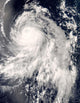 Typhoon Nakri off Japan Wall Decal