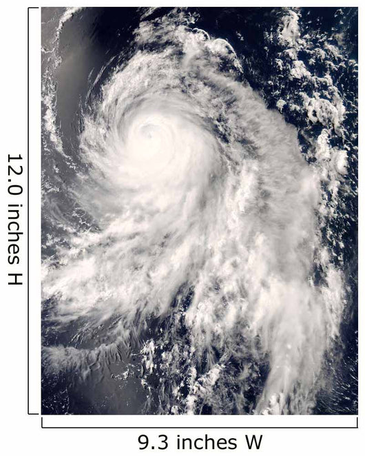 Typhoon Nakri off Japan Wall Decal