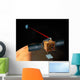 Mars Telecommunications Orbiter Wall Decal