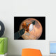 Mars Telecommunications Orbiter Flight Wall Decal