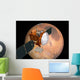 Mars Telecommunications Orbiter Flight Wall Decal