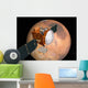 Mars Telecommunications Orbiter Flight Wall Decal