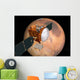 Mars Telecommunications Orbiter Flight Wall Decal