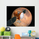 Mars Telecommunications Orbiter Flight Wall Decal