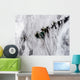 Plumes from Okmok Volcano Wall Decal