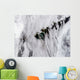 Plumes from Okmok Volcano Wall Decal