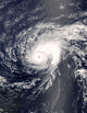 Hurricane Bertha Mid-Atlantic Ocean Wall Decal